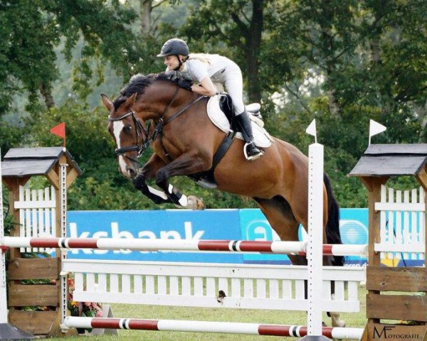 Cavallo da salto Satelite 2 (Hannover, 2007, di Silvio I)
