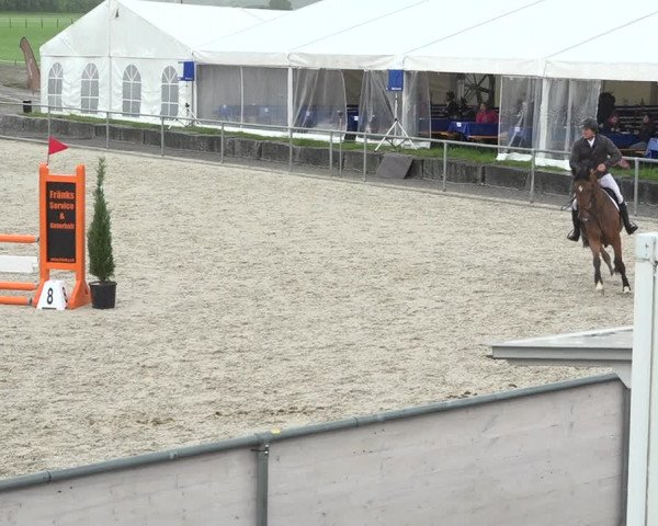 Reitturnier Galgenen 2019
