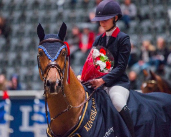 jumper Buutengewoon (KWPN (Royal Dutch Sporthorse), 2006, from Quattro B)