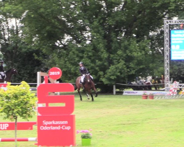 Reitturnier Wustrow 2019