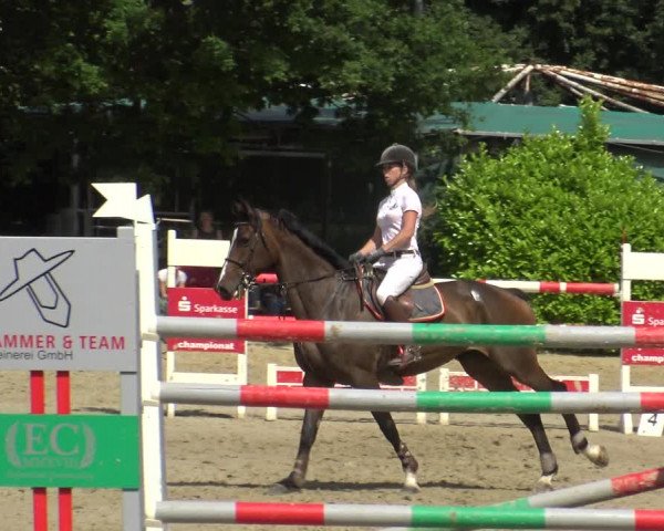 Reitturnier Bochum-Nord 2019