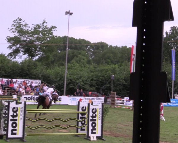 Reitturnier Borken 2019