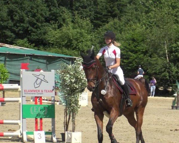 Reitturnier Bochum-Nord 2019