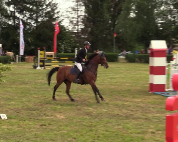 Reitturnier Wustrow 2019