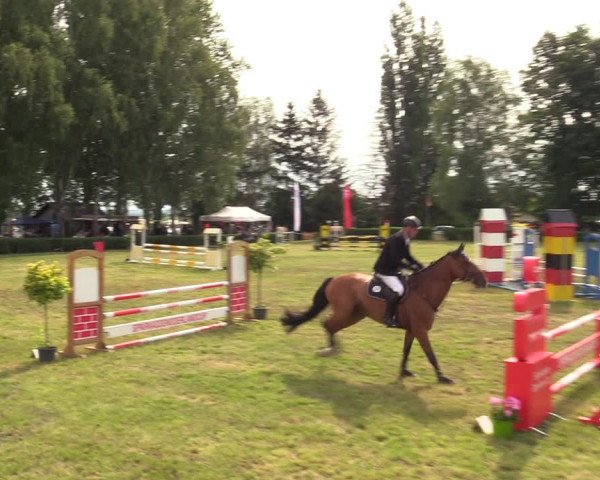 Reitturnier Wustrow 2019