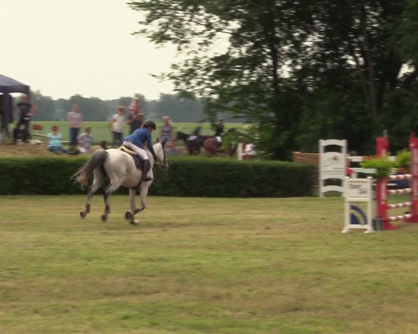 Reitturnier Wustrow 2019