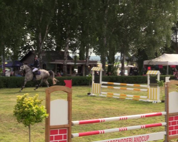 Reitturnier Wustrow 2019