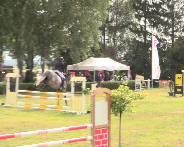 Reitturnier Wustrow 2019