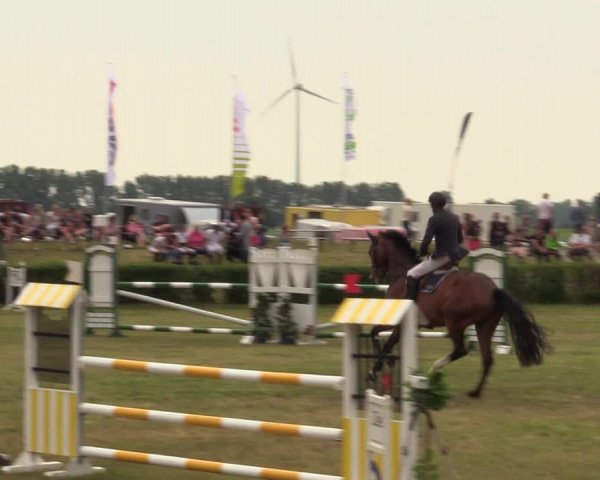 Reitturnier Wustrow 2019