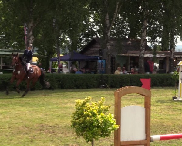 Reitturnier Wustrow 2019