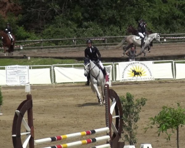 Reitturnier Frechen-Grefrath - Sonnenhof 2019