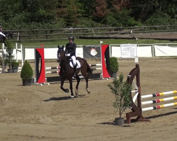 Reitturnier Frechen-Grefrath - Sonnenhof 2019