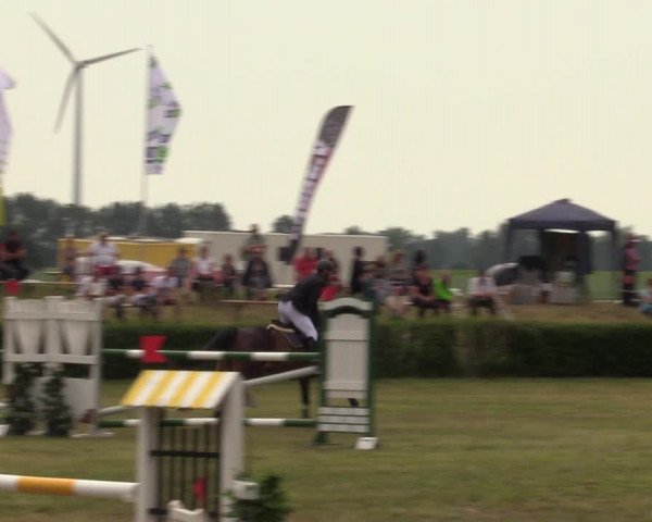 Reitturnier Wustrow 2019