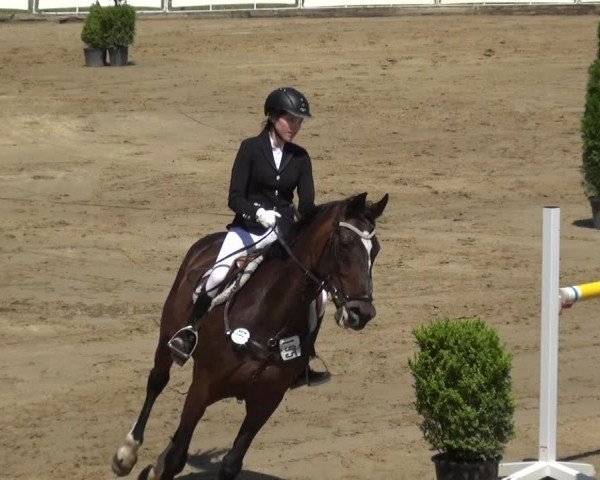 Reitturnier Frechen-Grefrath - Sonnenhof 2019