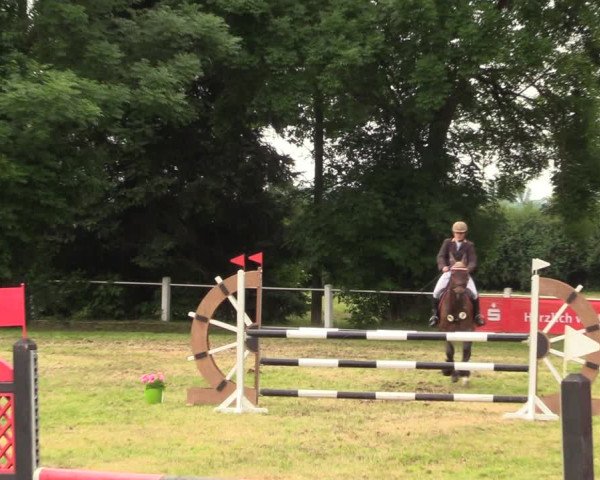 Reitturnier Wustrow 2019