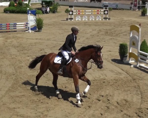 Reitturnier Frechen-Grefrath - Sonnenhof 2019