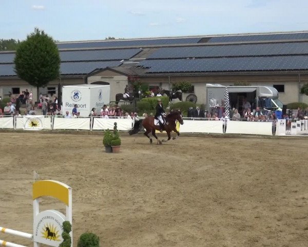 Reitturnier Frechen-Grefrath - Sonnenhof 2019