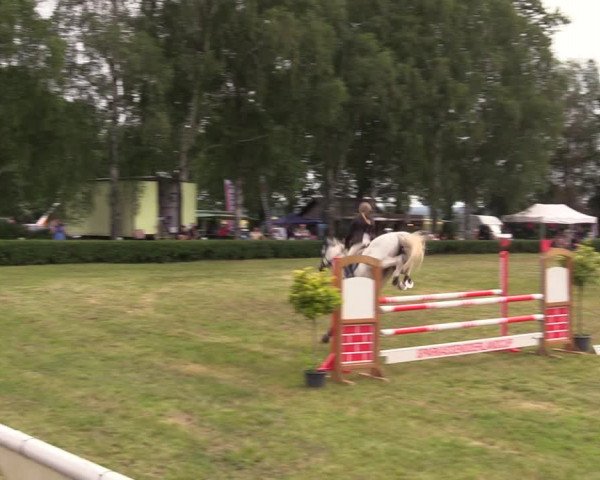 Reitturnier Wustrow 2019
