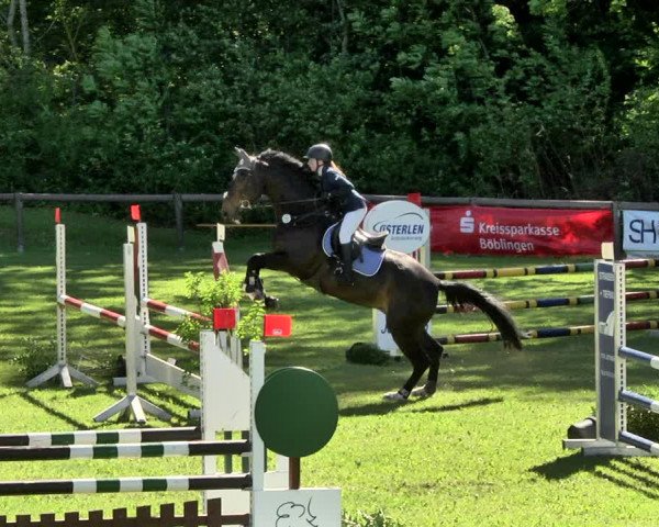 Reitturnier Jettingen 2019