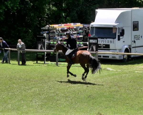 Reitturnier Jettingen 2019