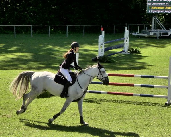 Reitturnier Jettingen 2019