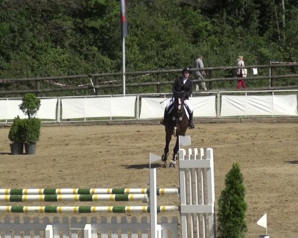 Reitturnier Frechen-Grefrath - Sonnenhof 2019