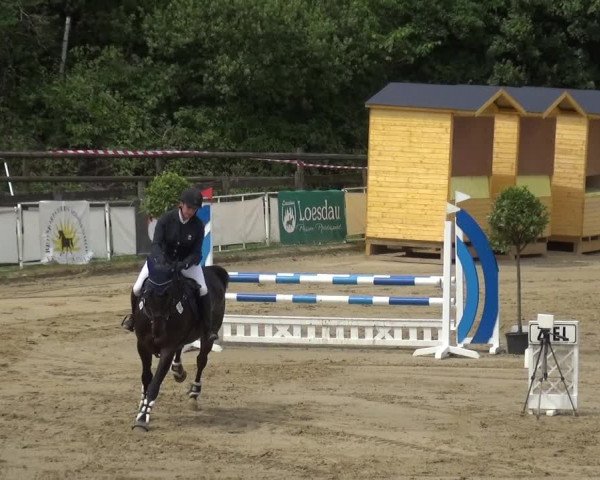 Reitturnier Frechen-Grefrath - Sonnenhof 2019