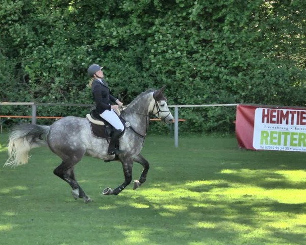 Reitturnier Jettingen 2019
