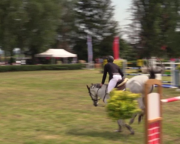 Reitturnier Wustrow 2019