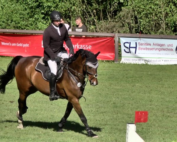 Reitturnier Jettingen 2019