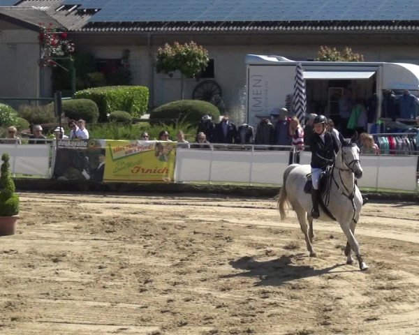 Reitturnier Frechen-Grefrath - Sonnenhof 2019