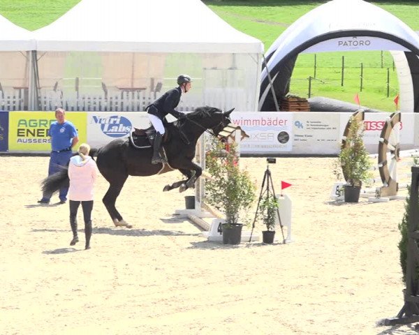 Reitturnier Galgenen 2019