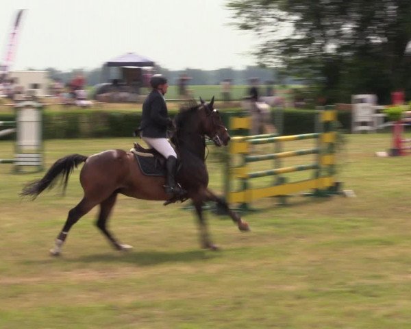 Reitturnier Wustrow 2019