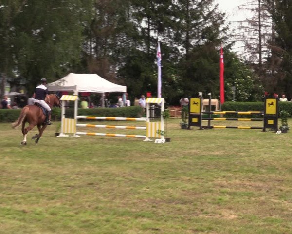 Reitturnier Wustrow 2019