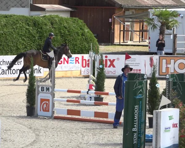 Reitturnier Galgenen 2019