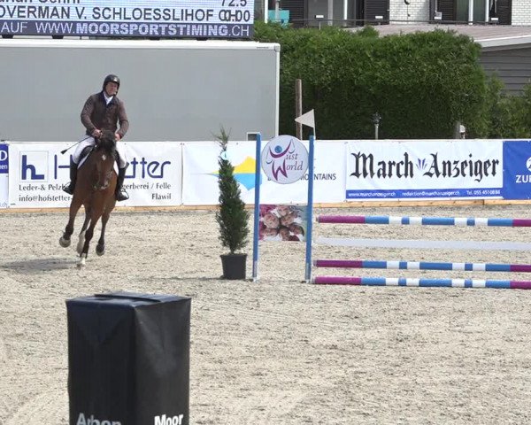Reitturnier Galgenen 2019