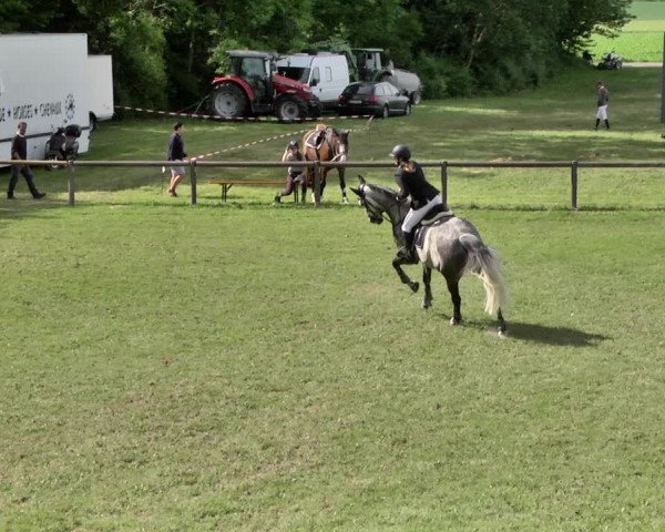Reitturnier Jettingen 2019