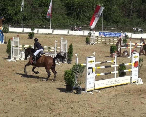 Reitturnier Frechen-Grefrath - Sonnenhof 2019