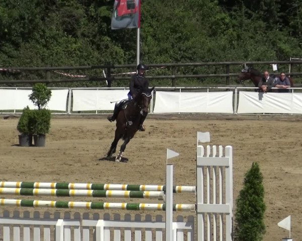 Reitturnier Frechen-Grefrath - Sonnenhof 2019