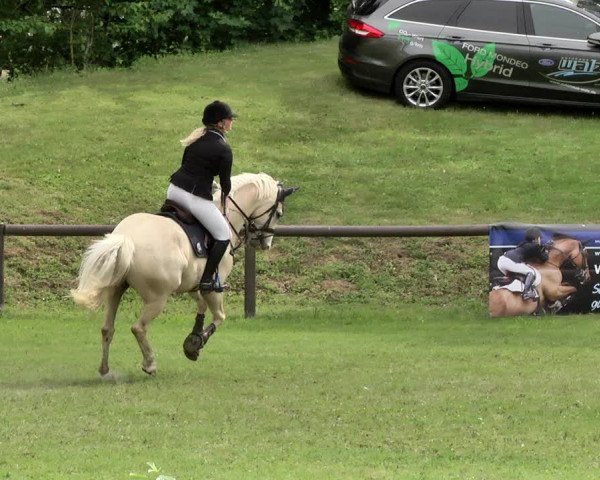 Reitturnier Jettingen 2019