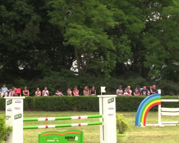 Reitturnier Wustrow 2019