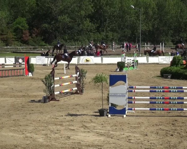 Reitturnier Frechen-Grefrath - Sonnenhof 2019