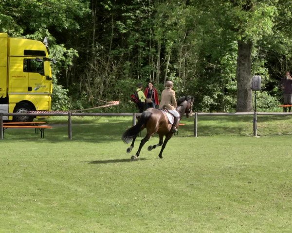 Reitturnier Jettingen 2019