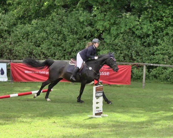 Reitturnier Jettingen 2019