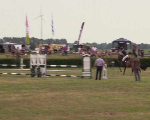 Reitturnier Wustrow 2019