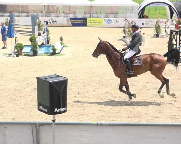 Reitturnier Galgenen 2019