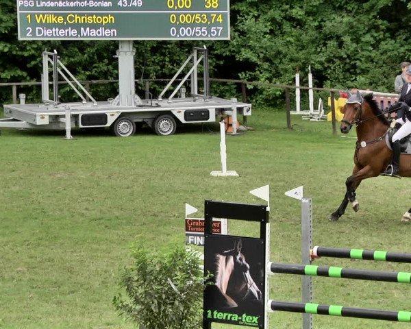 Reitturnier Jettingen 2019