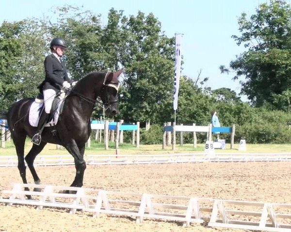 Reitturnier Reilingen 2021