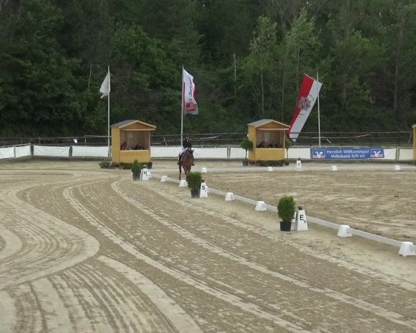 Reitturnier Frechen-Grefrath - Sonnenhof 2019