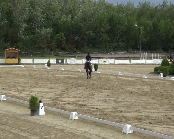 Reitturnier Frechen-Grefrath - Sonnenhof 2019